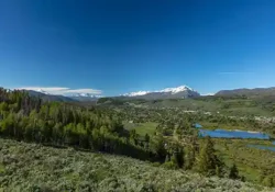 Silverthorne